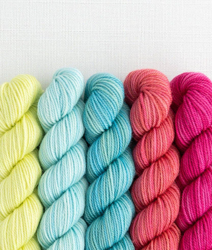 SweetGeorgia Yarns Inc. Party of Five / Tough Love / Mini-Skein Set Yarn