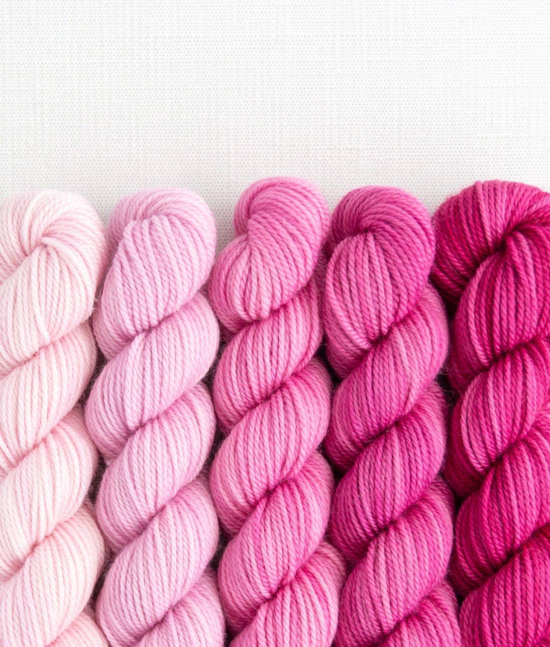 SweetGeorgia Yarns Inc. Party of Five / Tough Love / Mini-Skein Set Yarn
