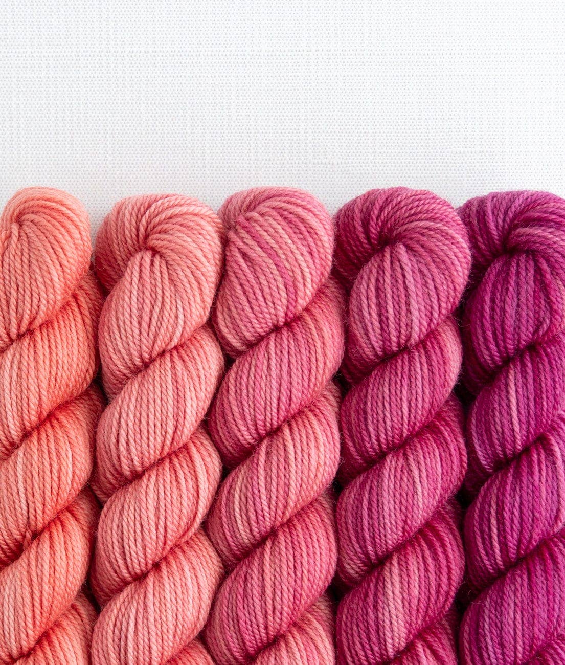 SweetGeorgia Yarns Inc. Party of Five / Tough Love / Mini-Skein Set Yarn