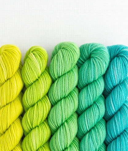 SweetGeorgia Yarns Inc. Picnic in the Park Party of Five / Tough Love / Mini-Skein Set Yarn