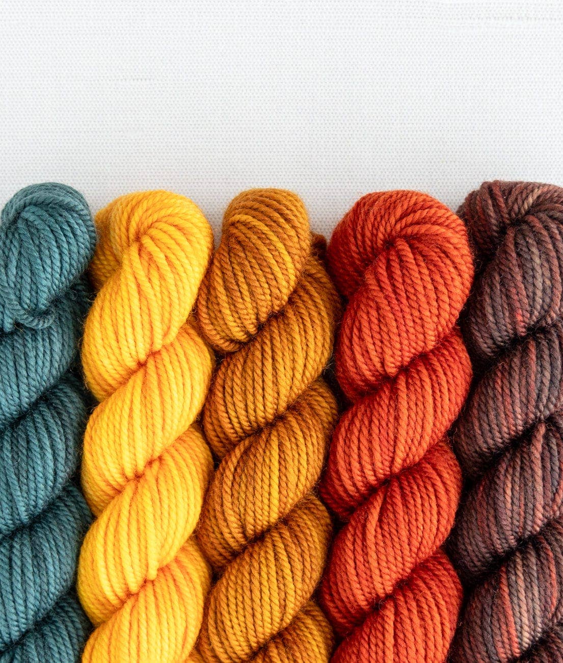 SweetGeorgia Yarns Inc. Pine Island Party of Five / Superwash DK / Mini-Skein Set Yarn