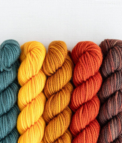 SweetGeorgia Yarns Inc. Pine Island Party of Five / Superwash DK / Mini-Skein Set Yarn