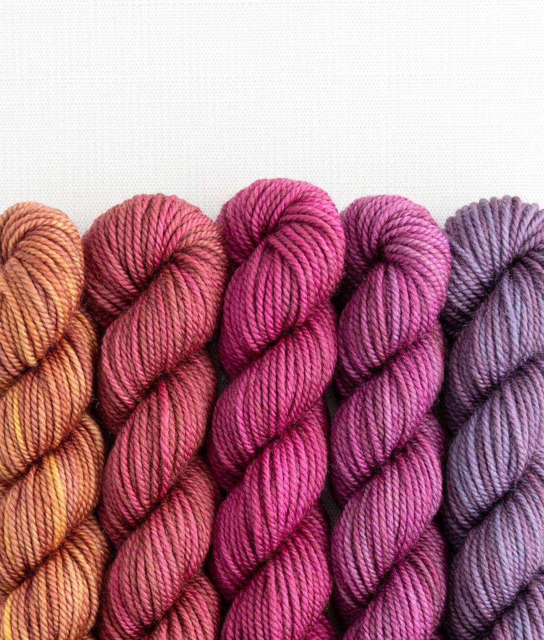 SweetGeorgia Yarns Inc. Spilling Secrets Party of Five / Superwash DK / Mini-Skein Set Yarn