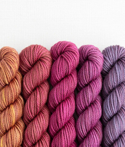 SweetGeorgia Yarns Inc. Spilling Secrets Party of Five / Superwash DK / Mini-Skein Set Yarn