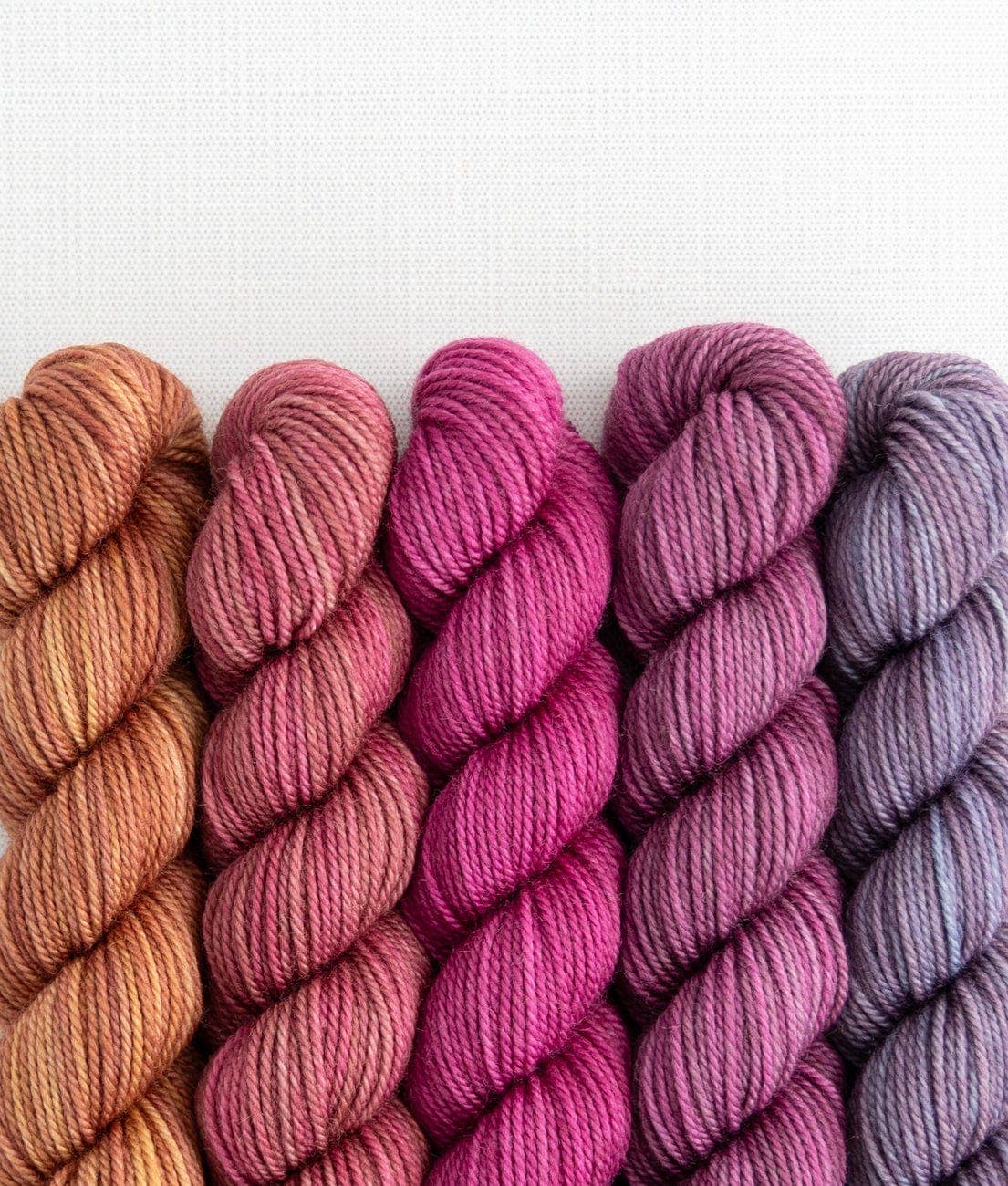 SweetGeorgia Yarns Inc. Spilling Secrets Party of Five / Tough Love / Mini-Skein Set Yarn