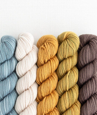 SweetGeorgia Yarns Inc. Tofino Roadtrip Party of Five / Tough Love / Mini-Skein Set Yarn