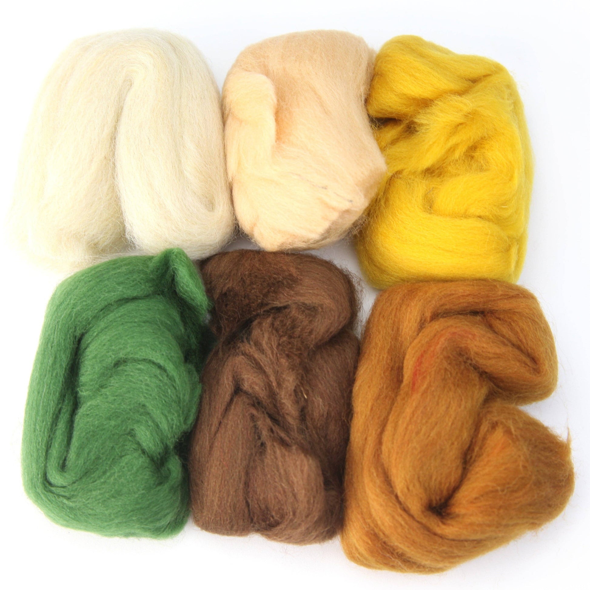 Woolbuddy Four Season Color Wool Roving